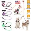 Double Leash No-Tangle Walking Leash w/ Swivel Coupler Padded Handle