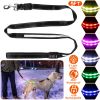 5FT Light Up Dog Leash with 9 Light Colors