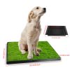 Dog Potty Training Artificial Grass Pad