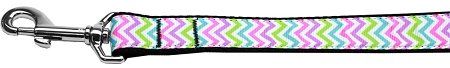 Summer Chevrons Nylon Dog Leash