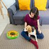 Dog Puzzle Food Slow Feeder