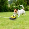 Dog Water Fountain Multifunctional Automatic Pet Water Dispenser