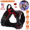 Light Up Dog Harness