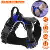 Light Up Dog Harness