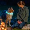 USB Rechargeable LED Dog Collar Multi-Color Lighting
