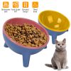 Raised Tilted Elevated Food Bowl