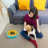 Dog Puzzle Food Slow Feeder