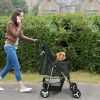 4 Wheels Pet Stroller Foldable Carrier for Dogs