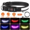 Light Up Dog Collar with 9 Light Colors