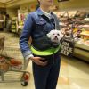 Pet Carrier for Dogs Hand Free Sling Shoulder Bag