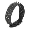 Leather Collar Spiked