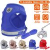 Pet Mesh Harness Dog Leash