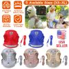Pet Mesh Harness Dog Leash Set