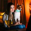 USB Rechargeable LED Dog Collar Multi-Color Lighting