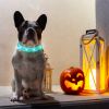 USB Rechargeable LED Dog Collar Multi-Color Lighting