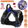 Light Up Dog Harness
