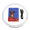 USB Rechargeable LED Dog Collar Multi-Color Lighting