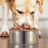 Stainless Steel Dog Hanging Food Bowl