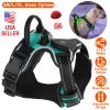 Light Up Dog Harness