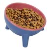 Raised Tilted Elevated Food Bowl