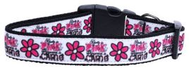 Dangerous in Camo Nylon Dog Collar