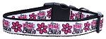 Dangerous in Camo Nylon Dog Collar (Color/Size: Medium Narrow)