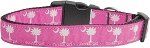 Carolina Girl Nylon Dog Collar
