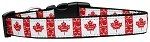 Canadian Flag in Swirls Nylon Dog Collar (Color/Size: Large)