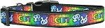 LGBT Nylon Dog Collar