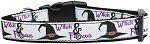 Witch and Famous Nylon Dog Collar (Color/Size: Large)