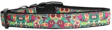 Turquoise Paisley Nylon Dog Collar