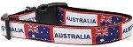 Australia Nylon Dog Collar (Color/Size: Large)