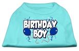 Birthday Boy Screen Print Shirts
