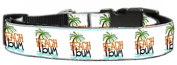 Beach Bum Nylon Pet Leash (Color/Size: 1in by 4ft)