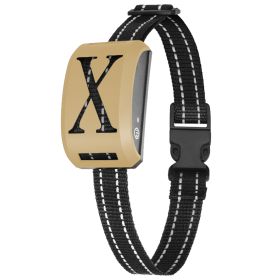 Electric Receiver Anti-Bark Dog Deterrent Training Collar (Option: Gold)