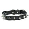 Durable Dog Rivet Collar