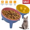 Raised Tilted Elevated Food Bowl