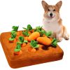12 Plush Carrots Enrichment Dog Puzzle Toy