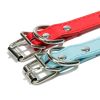 Durable Dog Rivet Collar