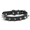 Durable Dog Rivet Collar
