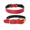Adjustable Leather Dog Collar