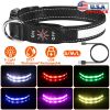 Light Up Dog Collar with 9 Light Colors