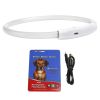 USB Rechargeable LED Dog Collar Multi-Color Lighting