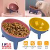 Raised Tilted Elevated Food Bowl