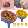 Raised Tilted Elevated Food Bowl