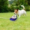 Dog Water Fountain Multifunctional Automatic Pet Water Dispenser