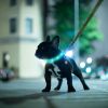 USB Rechargeable LED Dog Collar Multi-Color Lighting