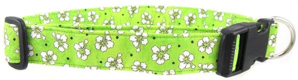 Green Hawaiian Flowers Dog Collar (Option: Small)