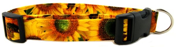 Sunny Sunflowers Dog Collar (Option: Large)