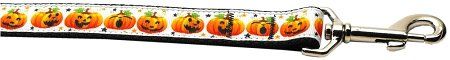 Pumpkin Parade Nylon Dog Leash